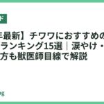 【2026年最新】チワワにおすすめのドッグフード人気ランキング15選｜涙やけ・偏食対策の選び方も獣医師目線で解説