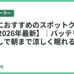 車中泊におすすめのスポットクーラー22選【2026年最新】｜バッテリー式・電源なしで朝まで涼しく眠れるモデル