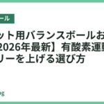 ダイエット用バランスボールおすすめ18選【2026年最新】有酸素運動で消費カロリーを上げる選び方