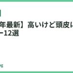 【2026年最新】高いけど頭皮に良いドライヤー12選