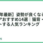 【2026年最新】姿勢が良くなるオフィスチェアおすすめ14選｜猫背・骨盤をサポートする人気ランキング