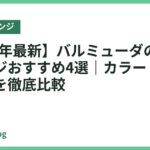 【2026年最新】バルミューダのオーブンレンジおすすめ4選｜カラー・価格・選び方を徹底比較